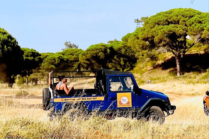 Albufeira Tour with Local Tapas and Tasting - What this Albufeira food and scenery tour feels like