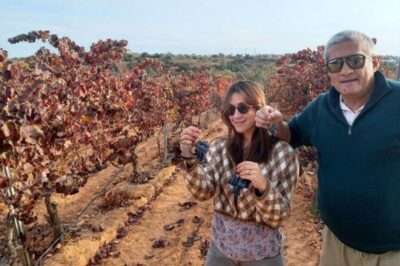 Albufeira/Vilamoura: Winery Tour with Wine Tasting and Tapas