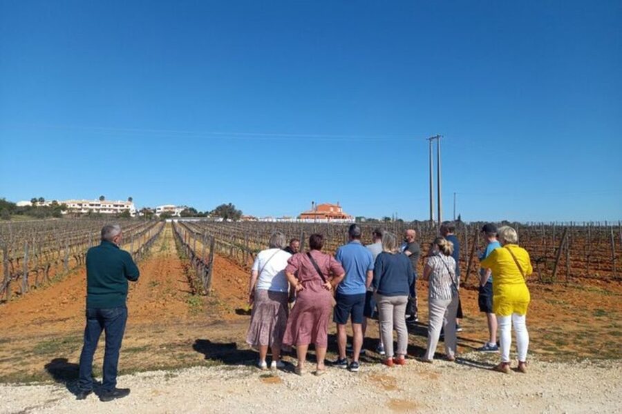 Albufeira/Vilamoura: Winery Tour with Wine Tasting and Tapas - Understanding how Portuguese wine is made