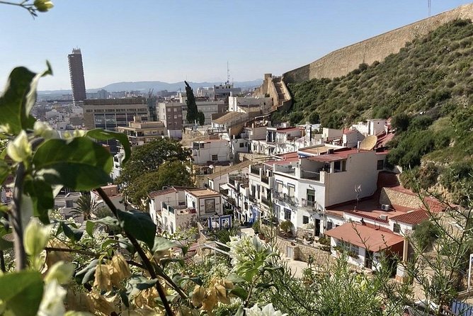 Alicante Historic Small Group Tour with Tapas Tasting - Cancellation, timing, and practical value