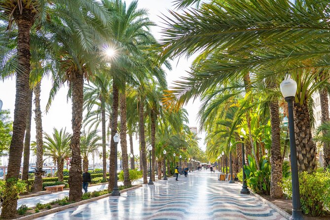 Alicante Tour: Full City, Castle, Market & Tapas Experience - A compact introduction to Alicante