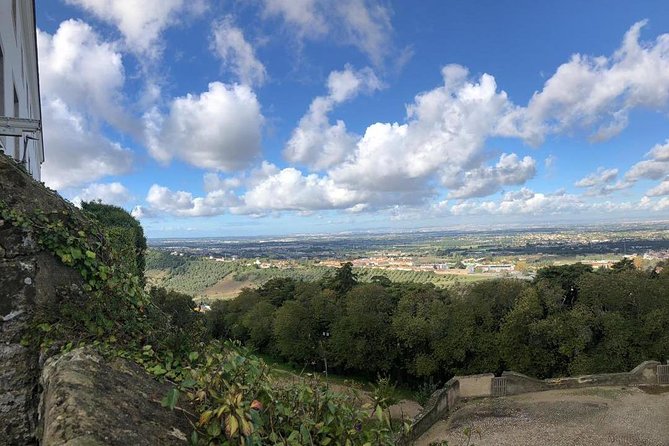Arrábida Palmela Azeitão Private Tour - W/ Wine Tasting & Tapas - Five details that make this private tour different