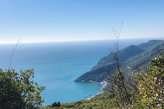 Arrábida Palmela Azeitão Private Tour - W/ Wine Tasting & Tapas - What the $312.15 price really buys