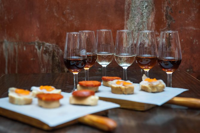 Authentic Flamenco Show with Tapas & Wine Guided Tour - Who should book this evening?