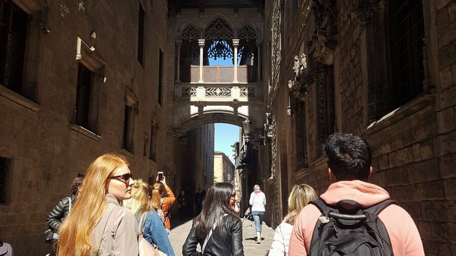 Barcelona: 4-Hour Tapas Evening Tour and Flamenco Show - Practical details that affect your choice