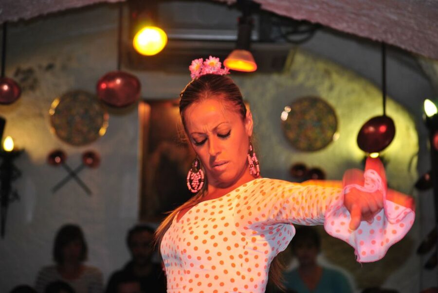 Barcelona: City Tour & Flamenco Show with Wine & Tapas - Useful booking details