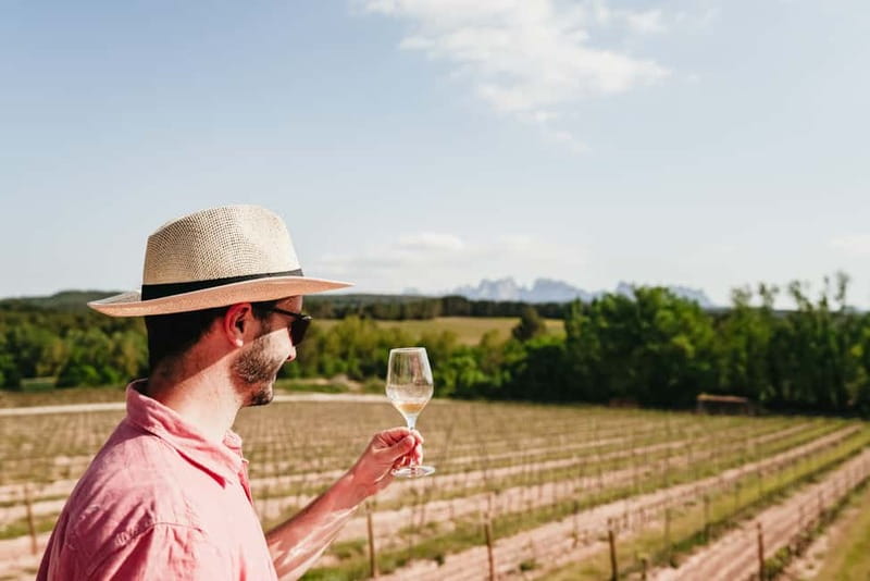 Barcelona: Montserrat and Winery Tour with Tapas or Lunch - Half-day, tapas, or full lunch: choose carefully