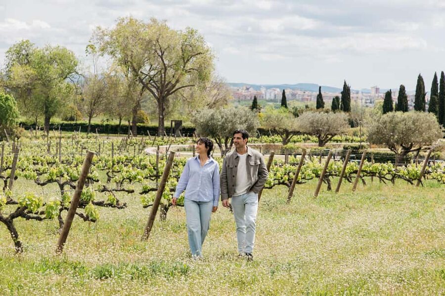 Barcelona-Penedès: Familia Torres wine & tapas winery tour - Starting with the Torres family story
