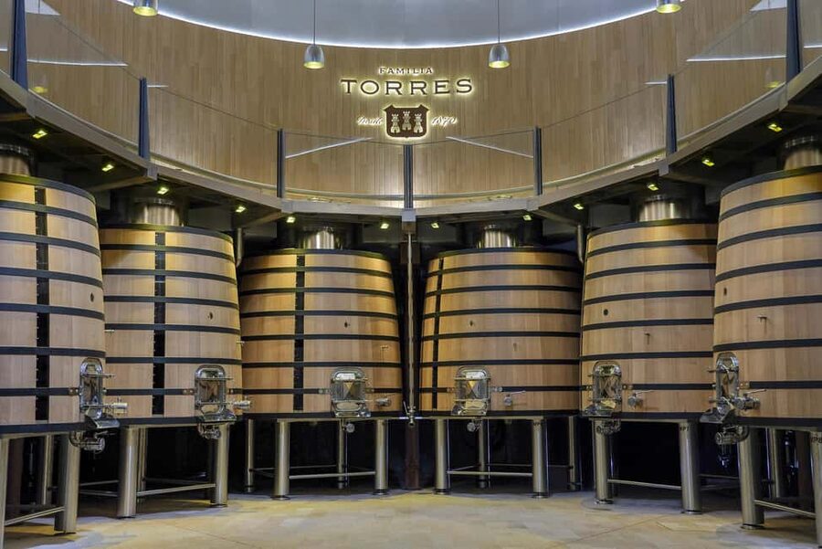 Barcelona-Penedès: Familia Torres wine & tapas winery tour - Inside the sustainably designed Waltraud winery