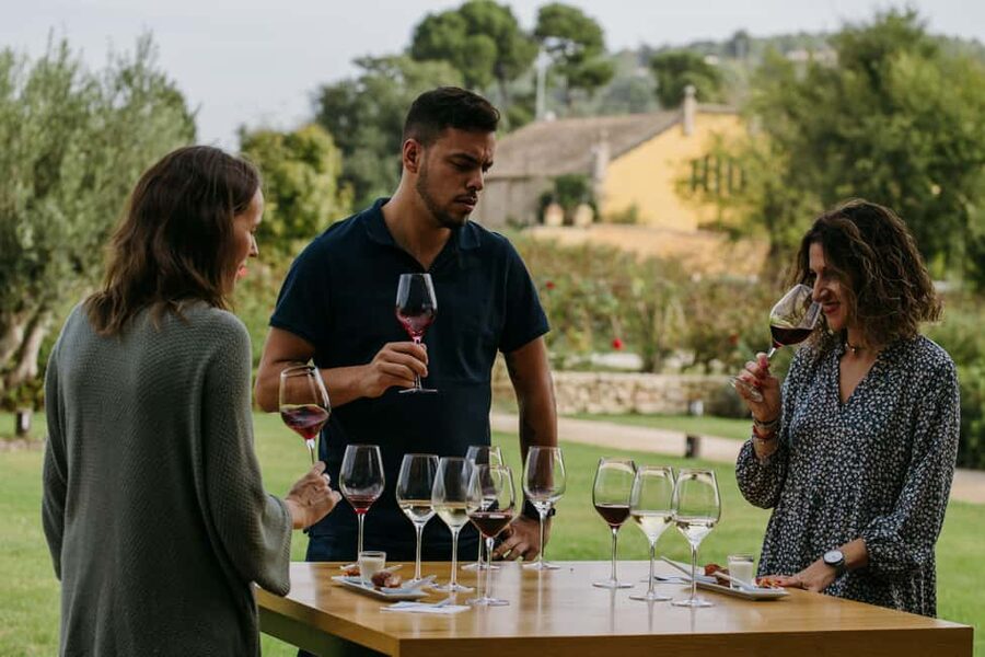 Barcelona-Penedès: Familia Torres wine & tapas winery tour - Is $44 a fair price?