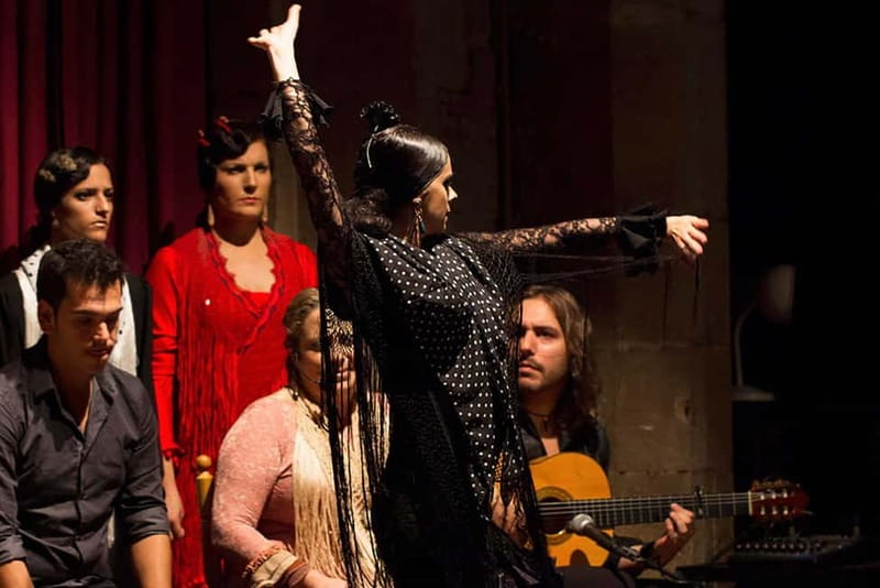 Barcelona: Private Tapas & Wine with Flamenco Show Old Town - Palau Dalmases: a dramatic finish