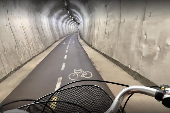 Bike Tour in San Sebastián with FREE pintxo and drink! - Why a bike is a smart way to see San Sebastián