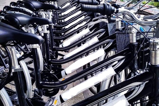Bike Tour in San Sebastián with FREE pintxo and drink! - Miramar Palace and its gardens