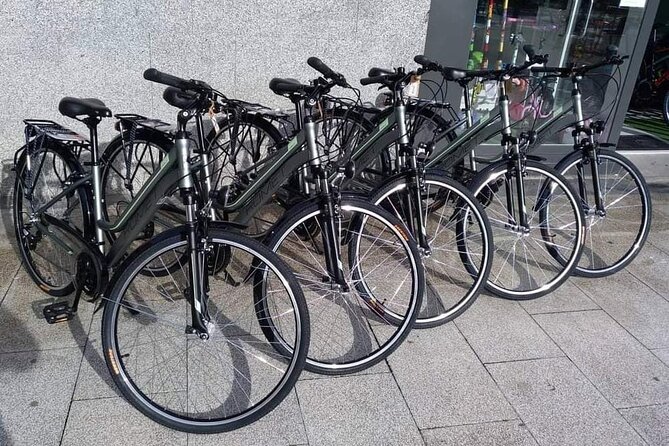 Bike Tour in San Sebastián with FREE pintxo and drink! - La Concha and Ondarreta by bike path