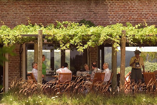 Bouza Winery Tastings and Tapas (Esp, Eng, Port) - How the $95 price compares with the experience