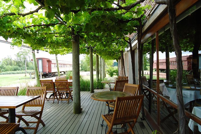 Bouza Winery Tastings and Tapas (Esp, Eng, Port) - Walking through the vineyards and winery