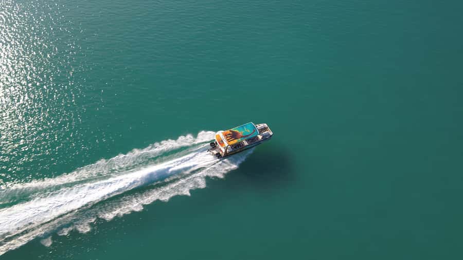 BROOME: DINOSAUR ADVENTURE CRUISE - With Tapas and Cocktail - Brahminy Kite and the first wildlife cruise