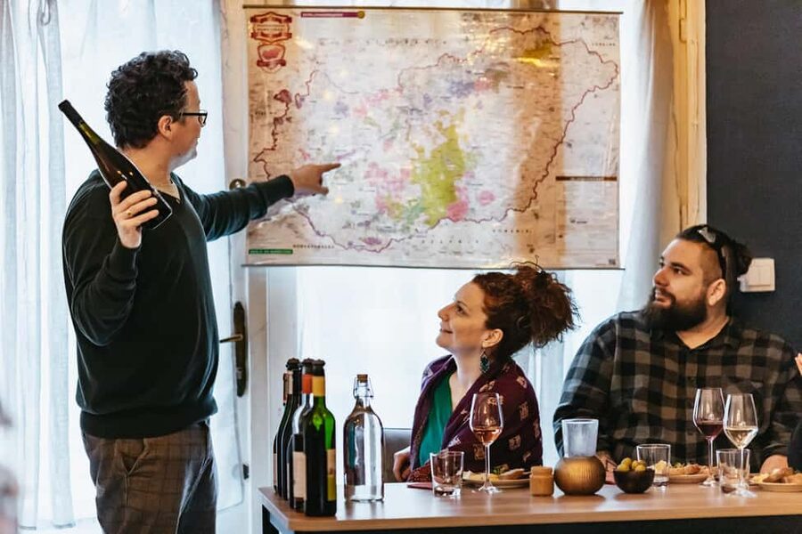 Budapest: Hungarian Wine Tasting with 8 Wines and Tapas - The guide is the heart of the experience