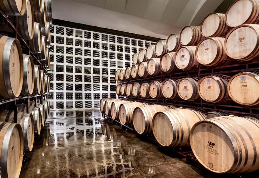 Casa Relvas, Évora - Visit to the Winery with Tasting of Portuguese Grape Varieties and Tapas - A Family Winery in the Alentejo