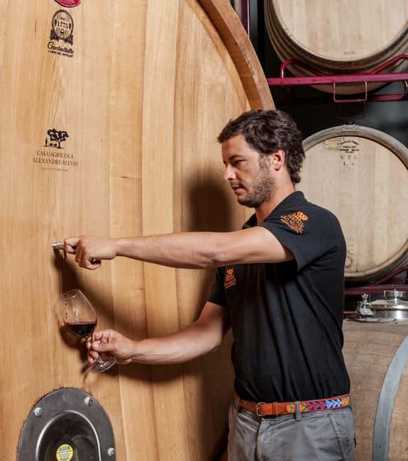 Casa Relvas, Évora - Visit to the Winery with Tasting of Portuguese Grape Varieties and Tapas - Five Wines, Tapas, and Alentejo Olive Oil