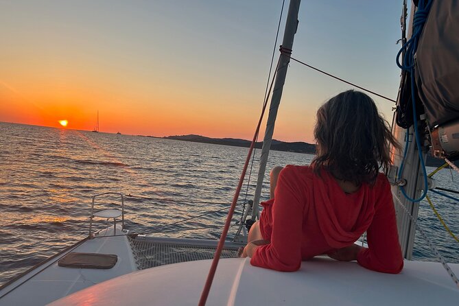 Catamaran Sailing Experience Manilva Tapas Drink Dolphins Swim Stop - Dolphins, tuna, and the luck factor