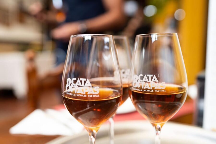 Cordoba: Tapas Bars Tour With Local Guide - The second stop: wine pairings and local bar culture