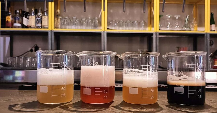 Craft Beer Tasting and tapas in Valencia - What makes this Valencia beer tasting worth your time