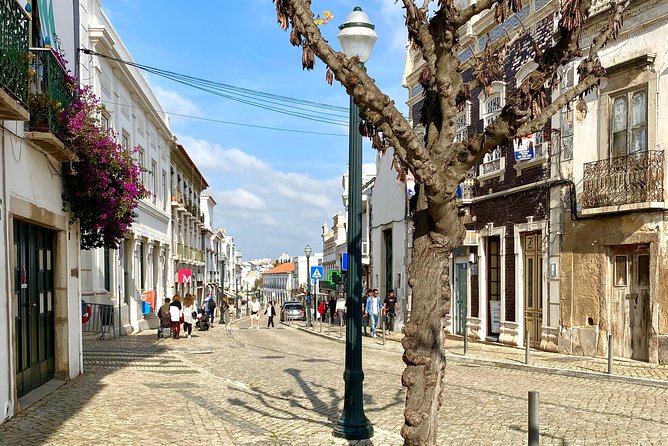 Discover Tavira - Tapas and Wine Tour - Salt flats and Atalaia add a working side of Tavira