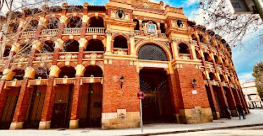 Discover Zaragoza: Complete tour + wine and tapas - What the private guide adds