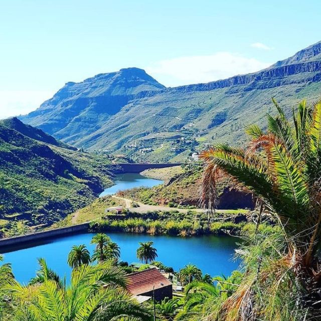 E-Bike Mountain Tour in Natural Park +Option Tapas in a Cave - Who should book this ride?