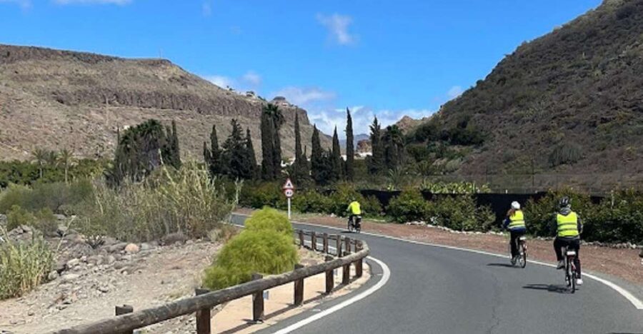 E-Bike Mountain Tour in Natural Park +Option Tapas in a Cave - A gentle introduction to Canarian plants