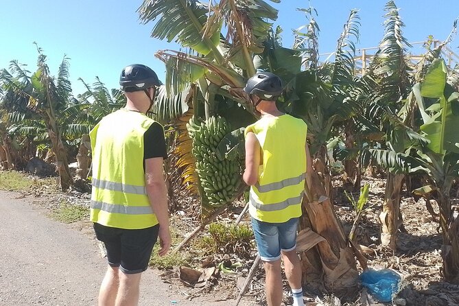 Electric Bike Panoramic South Coast Tour Optional Fishing Tapas - Lighthouse, Archaeology, and the Maspalomas Lagoon