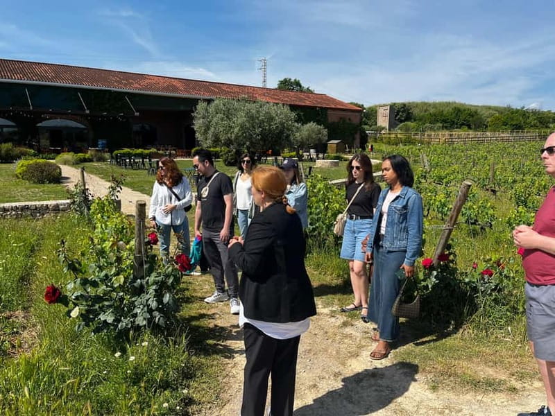 Familia Torres Winery: Gastronomic Tapas & Wine Experience - Final verdict: book it for food, setting, and substance