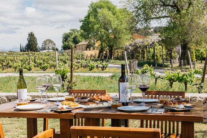 Familia Torres Winery: Gastronomic Tapas & Wine Experience - Leaving Barcelona for the Penedès vineyards