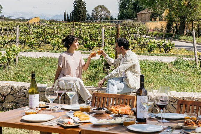 Familia Torres Winery: Gastronomic Tapas & Wine Experience - Shop time and the ride back