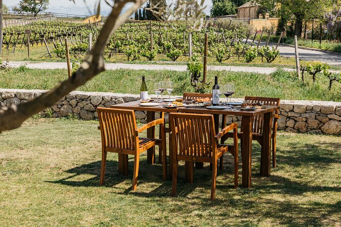 Familia Torres Winery: Gastronomic Tapas & Wine Experience - Is $151.23 a fair price?