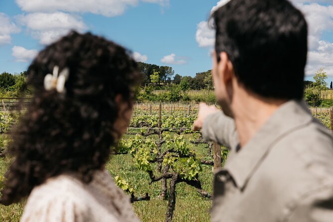 Familia Torres Winery: Gastronomic Tapas & Wine Experience - Who will enjoy this winery day most?