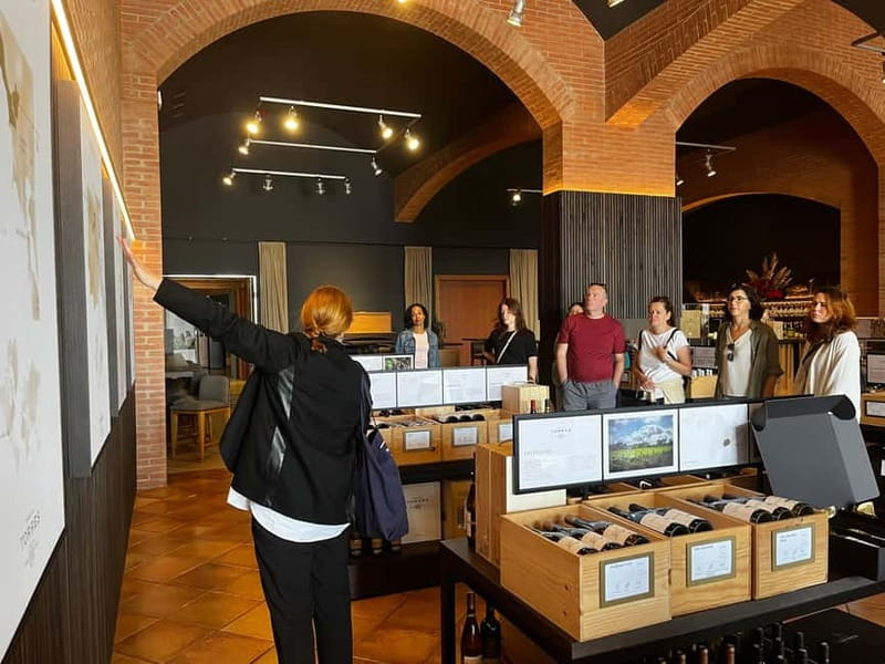 Familia Torres Winery: Gastronomic Tapas & Wine Experience - Who will enjoy this day most?