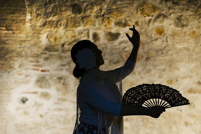 Flamenco, Tapas and Wine Tour: Best of Málaga in one Evening - Starting with 175 years of Málaga wine