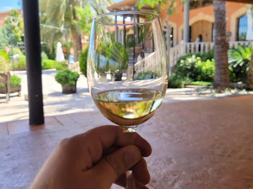 From Alicante: Winery Tour and Wine Tasting with Tapas - Key points at a glance