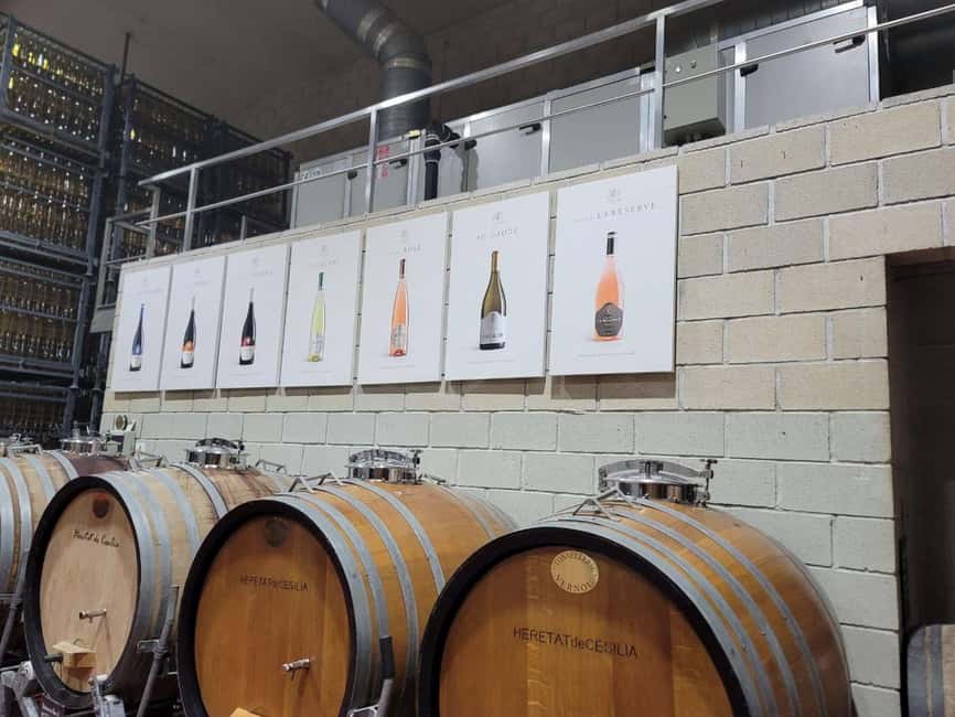 From Alicante: Winery Tour and Wine Tasting with Tapas - Getting to the winery from Alicante