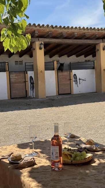 From Barcelona: PRIVATE Horseback Ride + Tapas + Picnic - A quiet hour of pica pica and local flavor