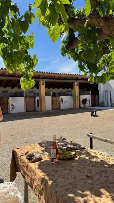 From Barcelona: PRIVATE Horseback Ride + Tapas + Picnic - Who will enjoy this most