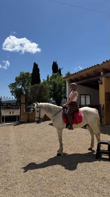 From Barcelona: PRIVATE Horseback Ride + Tapas + Picnic - Cancellation, group size, and timing