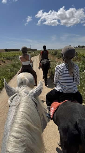 From Barcelona: PRIVATE Horseback Ride + Tapas + Picnic - Should you book this Penedès horseback ride?