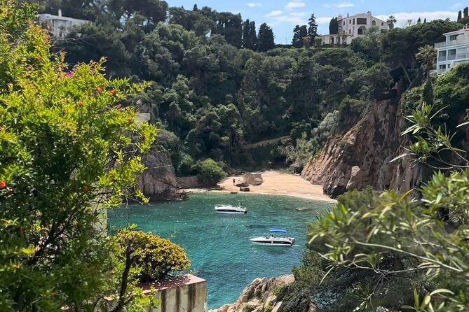 From Barcelona: Wine Tasting & Tapas + MARIMURTRA Garden + Blanes - Transport, timing, and the private format