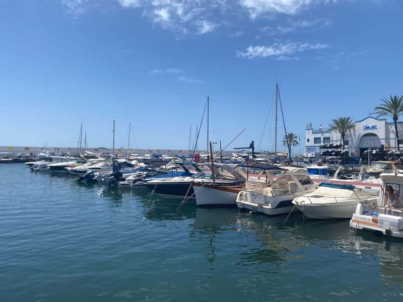From Estepona, Mijas, Marbella: Marbella Private Tour with Transport, Tapas, and Drinks - Why this private Marbella tour works well