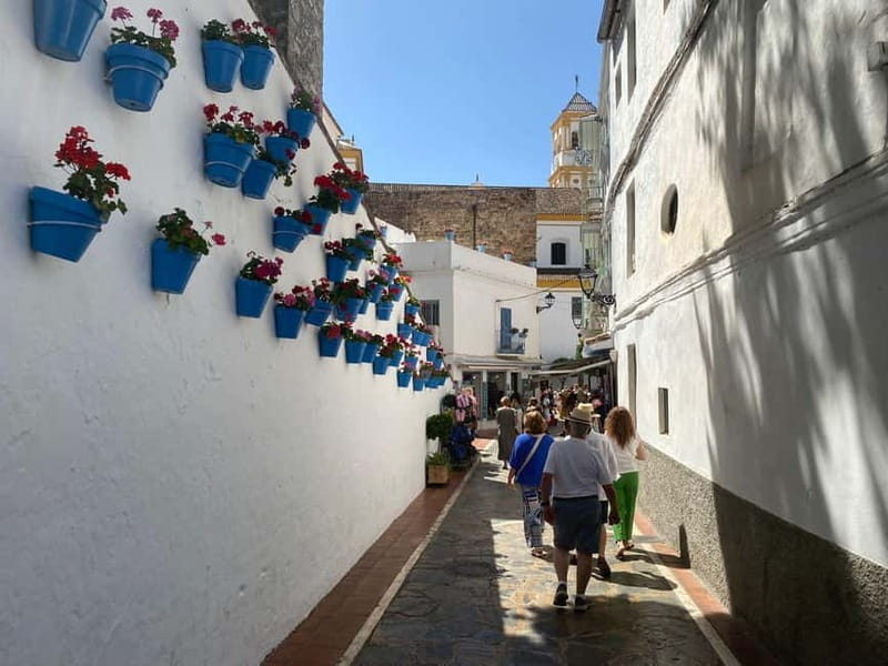 From Estepona, Mijas, Marbella: Marbella Private Tour with Transport, Tapas, and Drinks - Shopping time after the meal