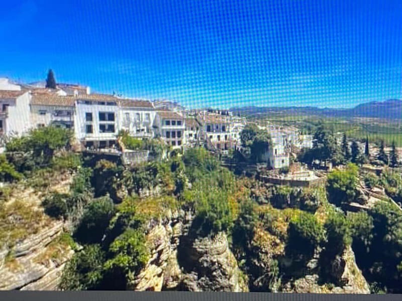 From Estepona: Ronda, private transport, cafe, bullring, tapas, drinks - Inside Ronda’s 240-year-old bullring
