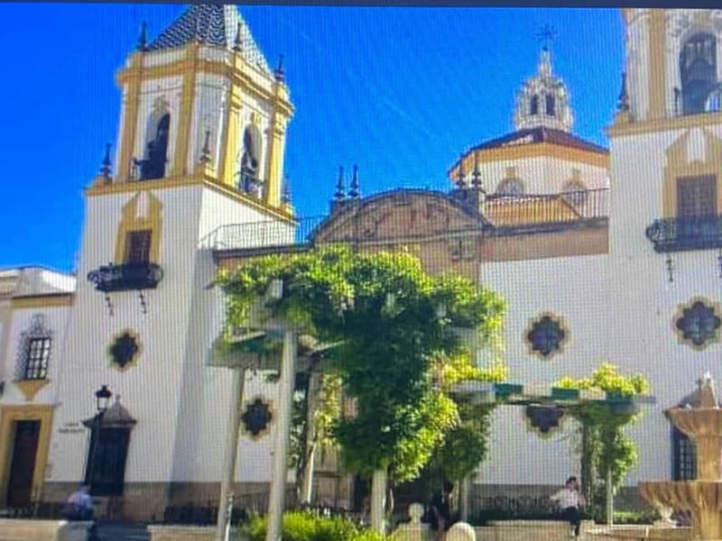 From Estepona: Ronda, private transport, cafe, bullring, tapas, drinks - Free time for shopping and local tips